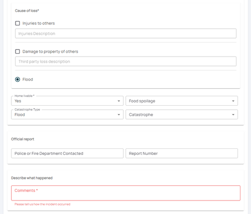 Enter the Cause of Loss. Add as much information as will be relevant to a Claims Adjuster.