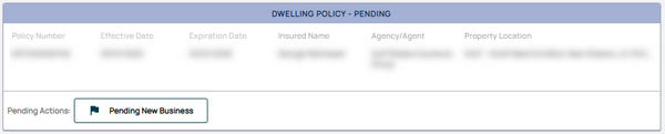 The policy can be found in the Pending Transactions queue after it has been paid; it needs to be reviewed by Underwriting.